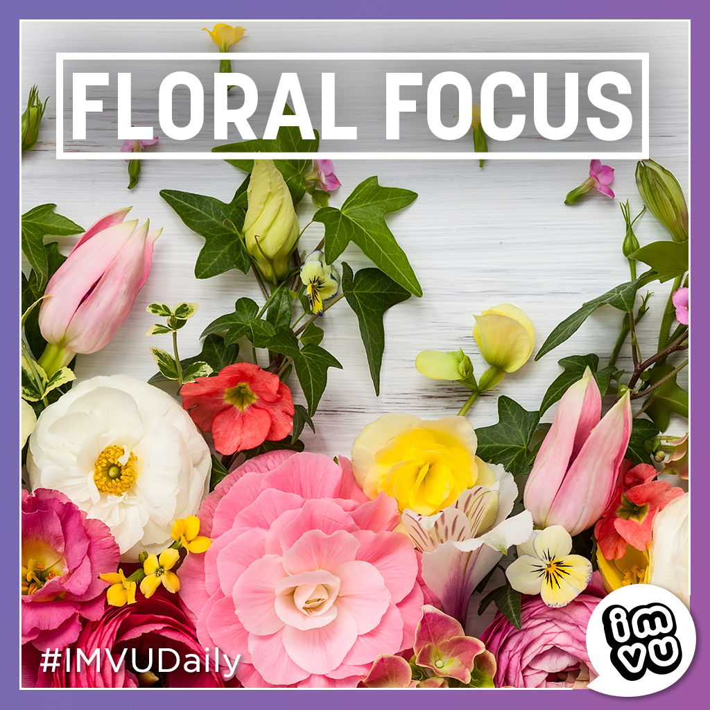 floral focus imvudaily theme